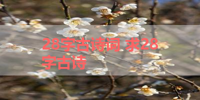 28字古诗词 求28字古诗 