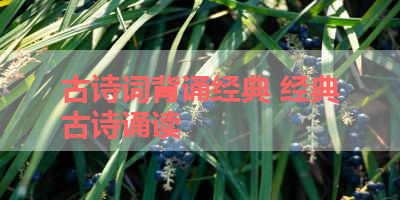 古诗词背诵经典 经典古诗诵读 