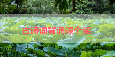 古诗词背诵颁个奖 
