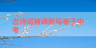 古诗词背诵默写卷子中考 