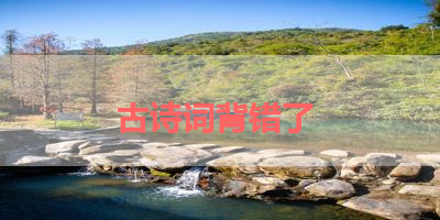 古诗词背错了 
