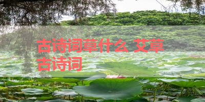 古诗词草什么 艾草 古诗词