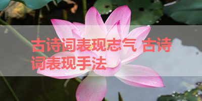 古诗词表现志气 古诗词表现手法