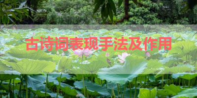 古诗词表现手法及作用 