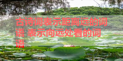 古诗词表示距离远的词语 表示向远处看的词语