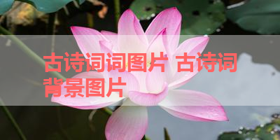 古诗词词图片 古诗词背景图片