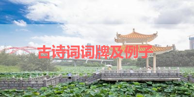 古诗词词牌及例子 