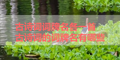 古诗词词牌名各一首 古诗词的词牌名有哪些