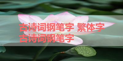 古诗词钢笔字 繁体字古诗词钢笔字