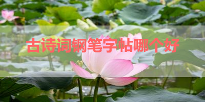 古诗词钢笔字帖哪个好 
