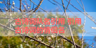 古诗词队名引用 引用古诗词的情侣名