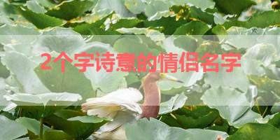 2个字诗意的情侣名字 