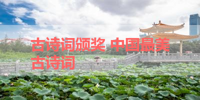 古诗词颁奖 中国最美古诗词