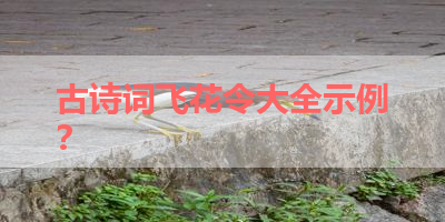 古诗词飞花令大全示例？ 