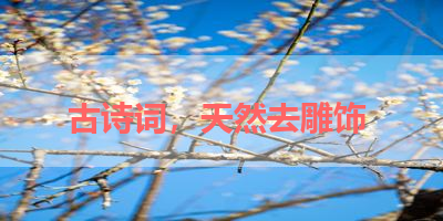 古诗词，天然去雕饰 
