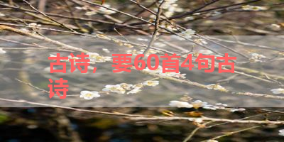 古诗，要60首4句古诗 