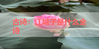 古诗：江城子是什么全诗 