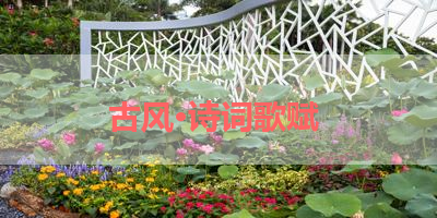 古风·诗词歌赋 