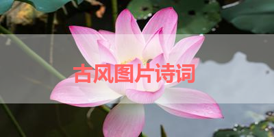 古风图片诗词 