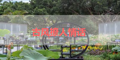 古风撩人情话 