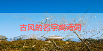 古风的名字或诗词 