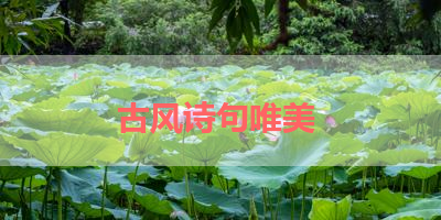 古风诗句唯美 