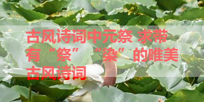 古风诗词中元祭 求带有“祭”“染”的唯美古风诗词 