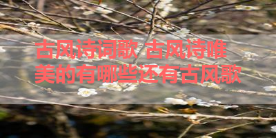古风诗词歌 古风诗唯美的有哪些还有古风歌 
