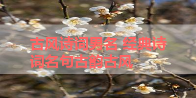 古风诗词男名 经典诗词名句古韵古风