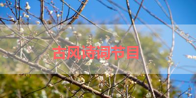 古风诗词节目 