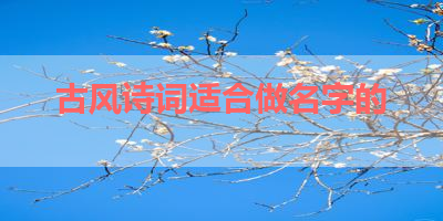 古风诗词适合做名字的 