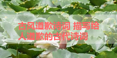 古风道歉诗词 描写给人道歉的古代诗词 