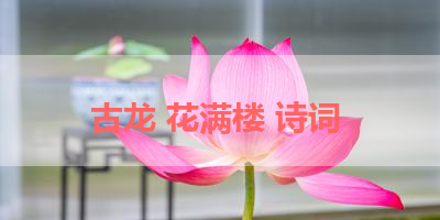 古龙 花满楼 诗词 