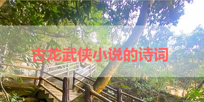 古龙武侠小说的诗词 