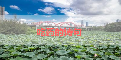 吃药的诗句 