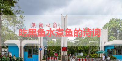 吃黑鱼水煮鱼的诗词 