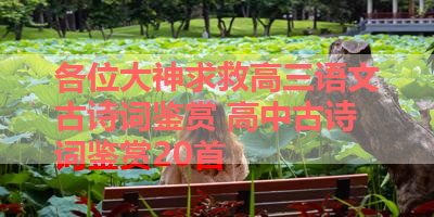 各位大神求救高三语文古诗词鉴赏 高中古诗词鉴赏20首