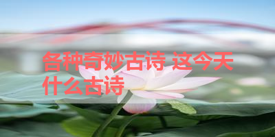 各种奇妙古诗 这今天什么古诗 