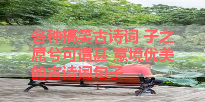 各种搞笑古诗词 子之屌兮可谓甚 意境优美的古诗词句子