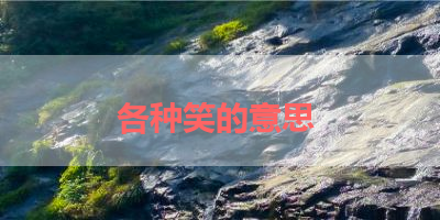 各种笑的意思 