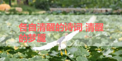 各自清醒的诗词 清醒的梦魇