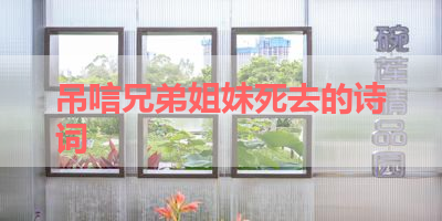 吊唁兄弟姐妹死去的诗词 