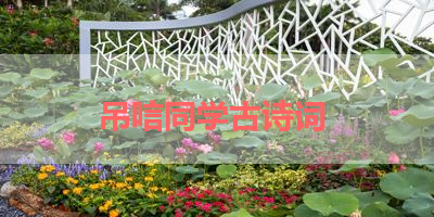 吊唁同学古诗词 
