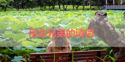 吊念兄弟的诗词 