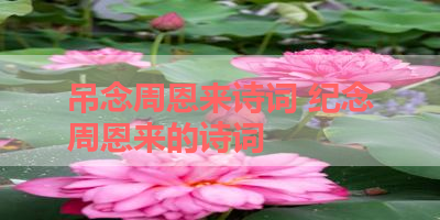 吊念周恩来诗词 纪念周恩来的诗词