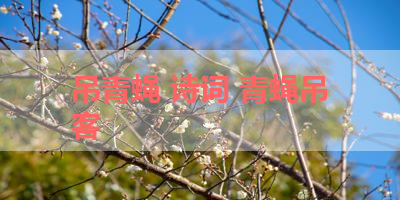 吊青蝇 诗词 青蝇吊客