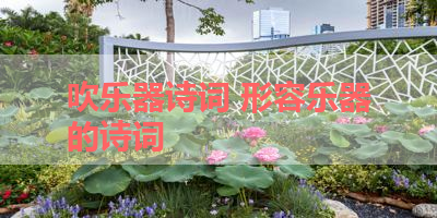 吹乐器诗词 形容乐器的诗词