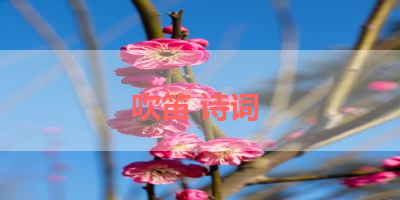 吹笛 诗词 