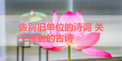 告别旧单位的诗词 关于告别的古诗 
