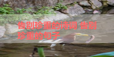 告别珍重的诗词 告别珍重的句子
